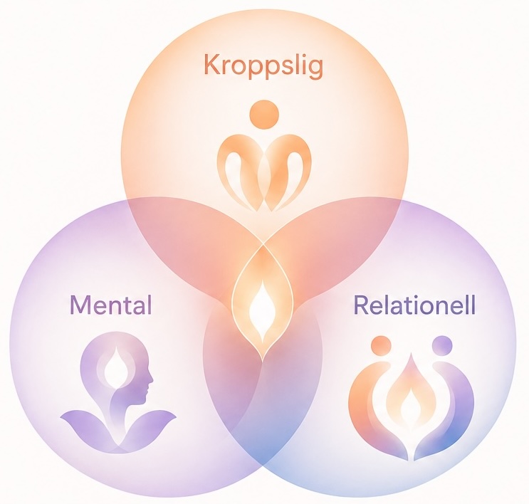 Tre ringar: kroppslig, mental och relationell hälsa
